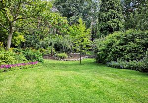 Optimiser l'expérience du jardin à La Madeleine-de-Nonancourt